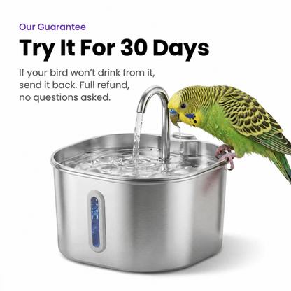 BirbFlow Bird Fountain