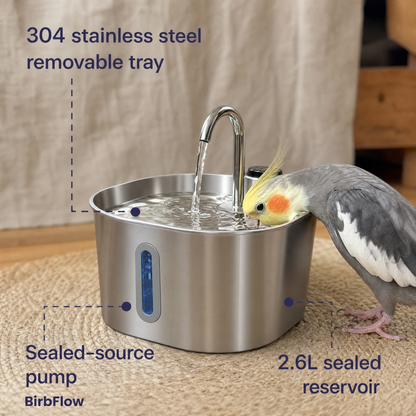 BirbFlow Parrot Fountain