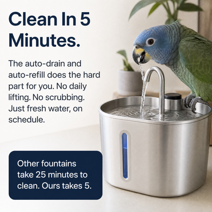 BirbFlow Parrot Fountain