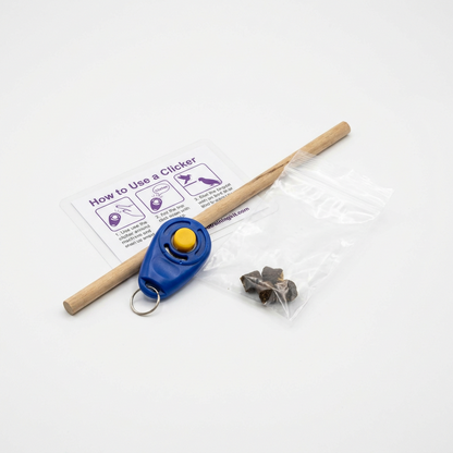 BirbFlow Training Kit
