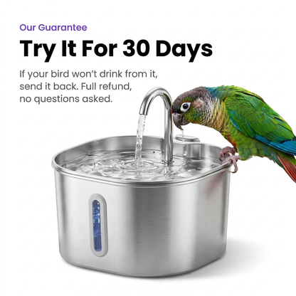 BirbFlow Parrot Fountain