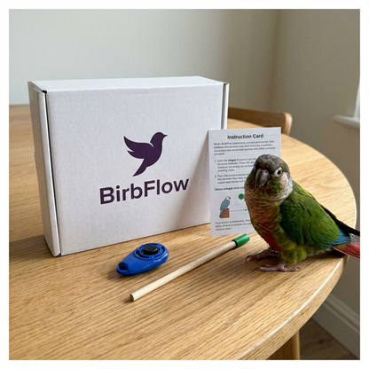 BirbFlow Training Kit