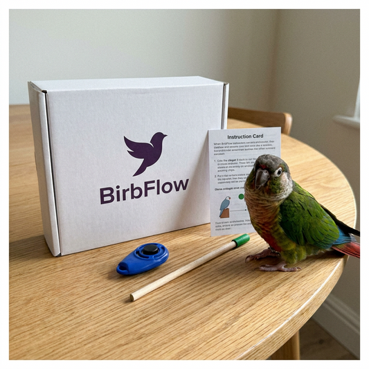 BirbFlow Training Kit
