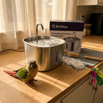 BirbFlow Parrot Fountain