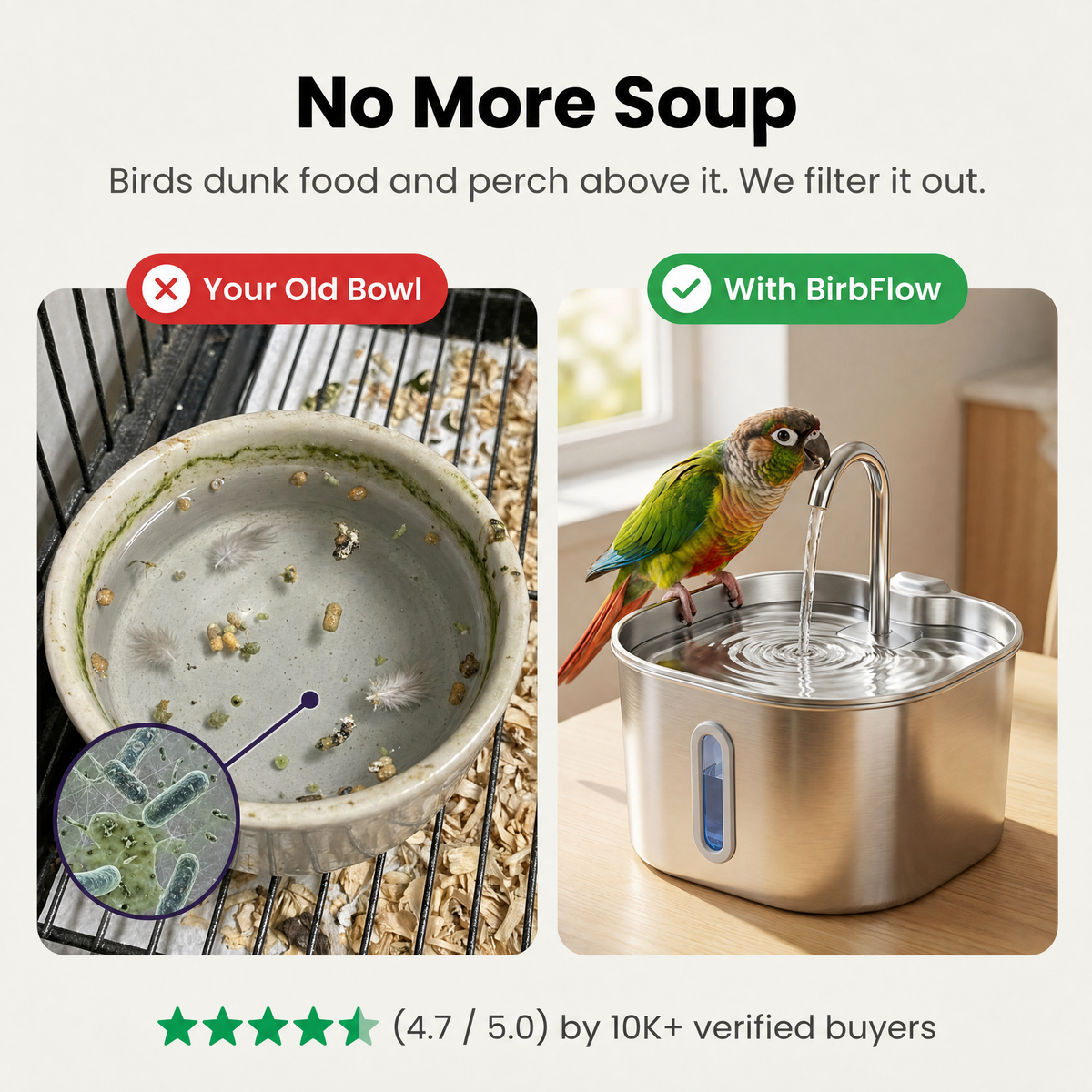 BirbFlow Parrot Fountain